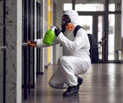 Best Black Mold Removal  in Island City, OR